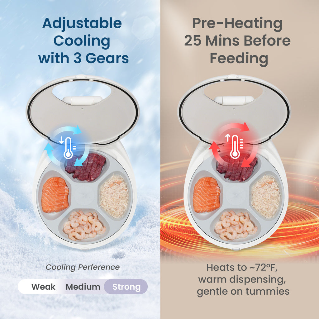 Robotail F20 Smart Pet Feeder