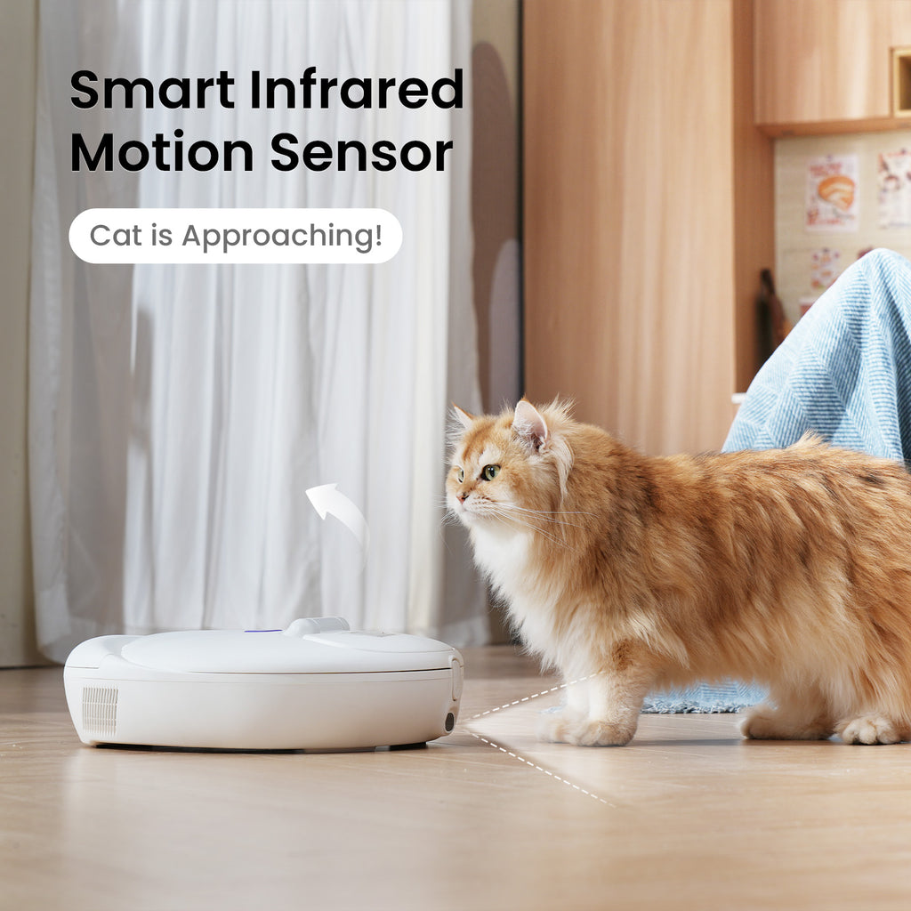 Robotail F20 Smart Pet Feeder